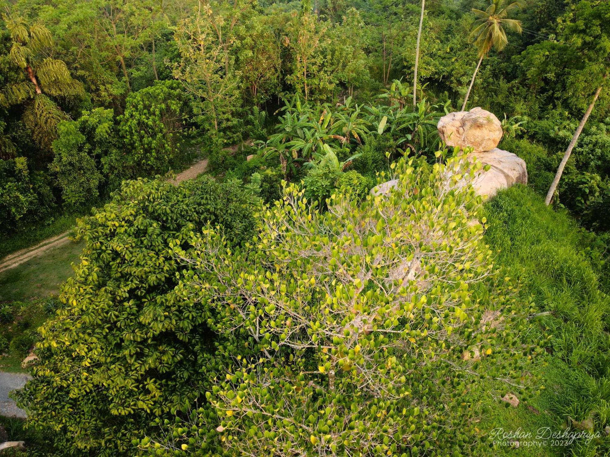 Kakulanda Resort Kurunegala Esterno foto